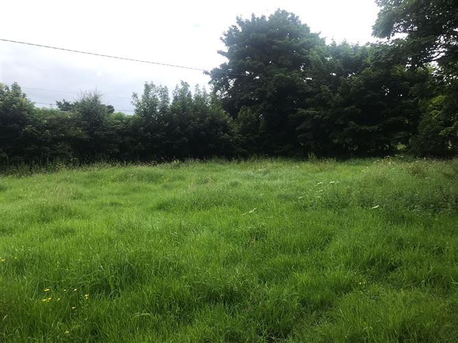 Ballymacurly South, Runamote, Ballinaheglish, Roscommon