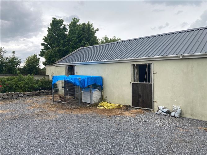 Ballymacurly South, Runamote, Ballinaheglish, Roscommon