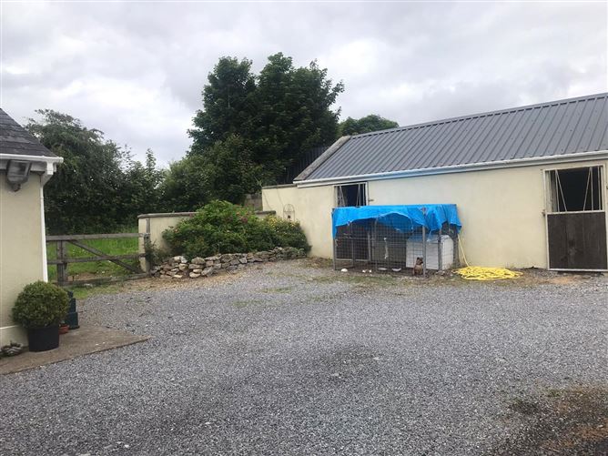 Ballymacurly South, Runamote, Ballinaheglish, Roscommon