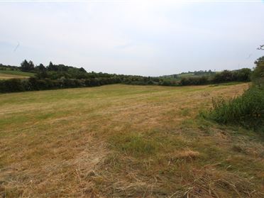 Image for Site 2, Carrickaveilty, Aughnamullen, Castleblayney, Monaghan