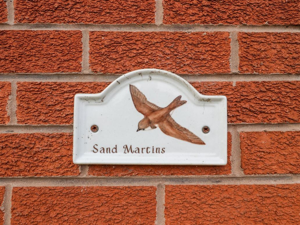 Sandmartins,Higher Kinnerton, Flintshire, Wales