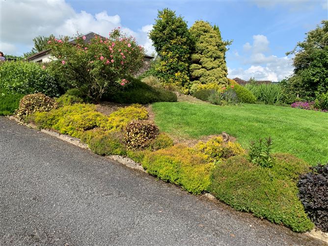 Rathmoon, Baltinglass, Wicklow