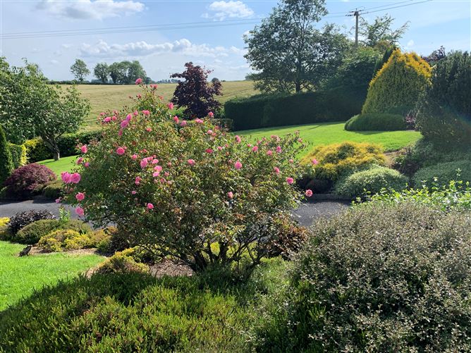 Rathmoon, Baltinglass, Wicklow