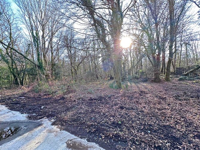 Photo 26 of 32 — The Wood, Ballynahalla, Moycullen, Galway, County Galway