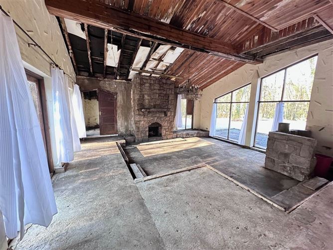 The Wood, Ballynahalla, Moycullen, Galway, County Galway