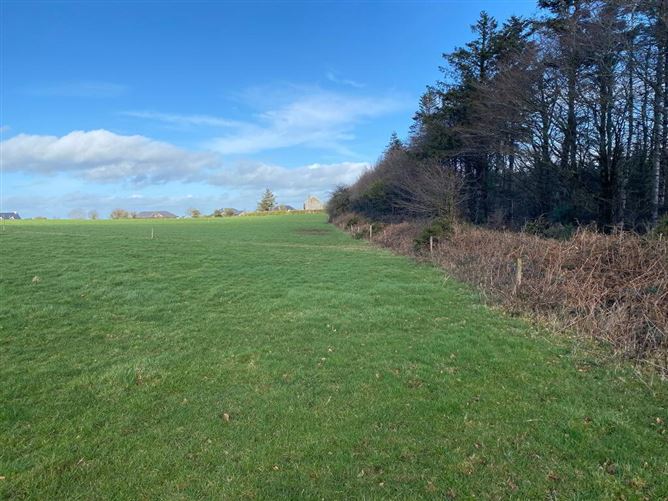C. 13.42 Acres, Ballycocksoost, Inistioge, Kilkenny