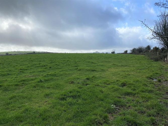 C. 13.42 Acres, Ballycocksoost, Inistioge, Kilkenny