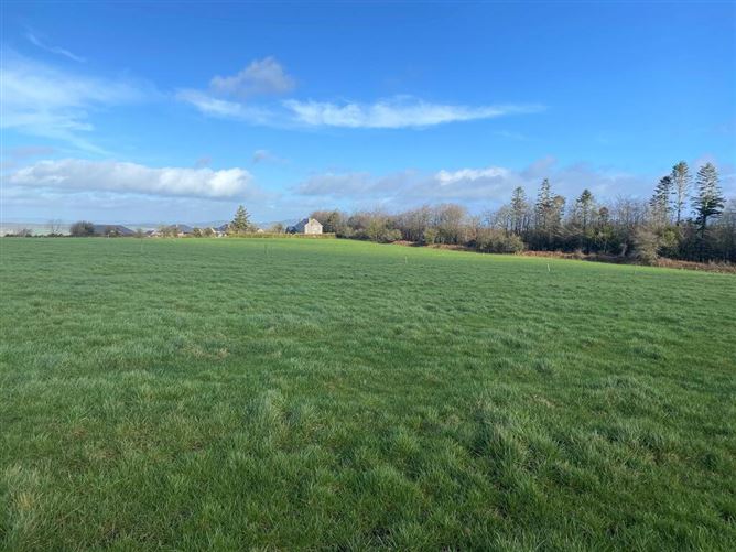 C. 13.42 Acres, Ballycocksoost, Inistioge, Kilkenny