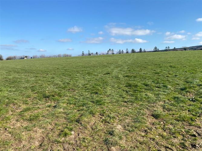 C. 13.42 Acres, Ballycocksoost, Inistioge, Kilkenny