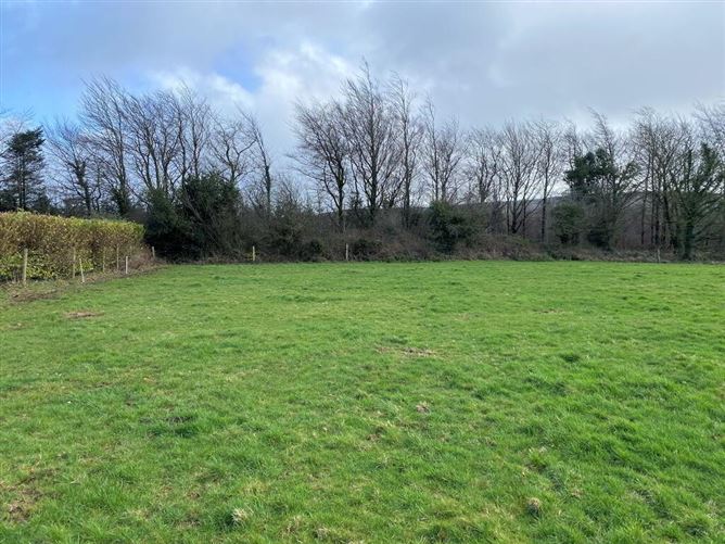C. 13.42 Acres, Ballycocksoost, Inistioge, Kilkenny