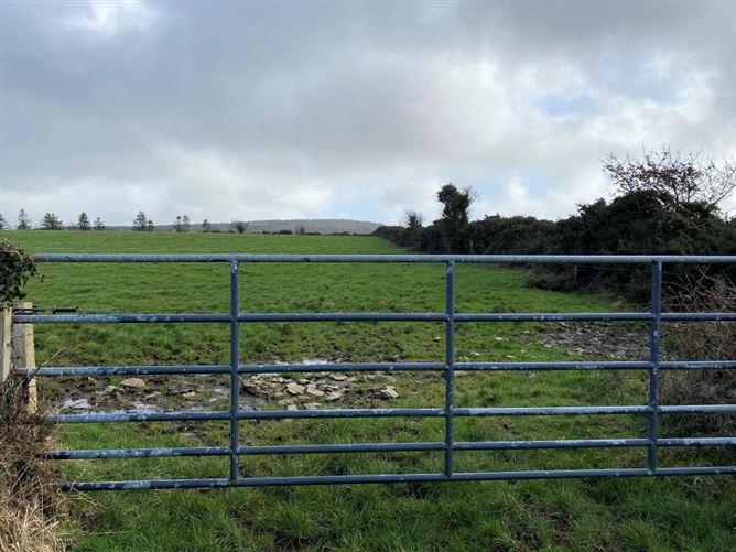 C. 13.42 Acres, Ballycocksoost, Inistioge, Kilkenny