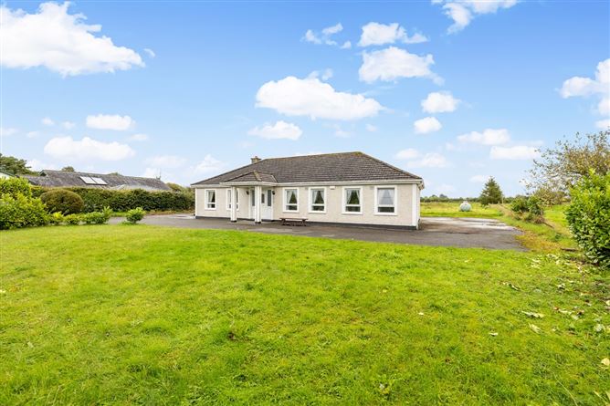 Clonsast  Lower Bracknagh, Rathangan, Kildare