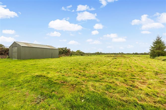 Clonsast  Lower Bracknagh, Rathangan, Kildare