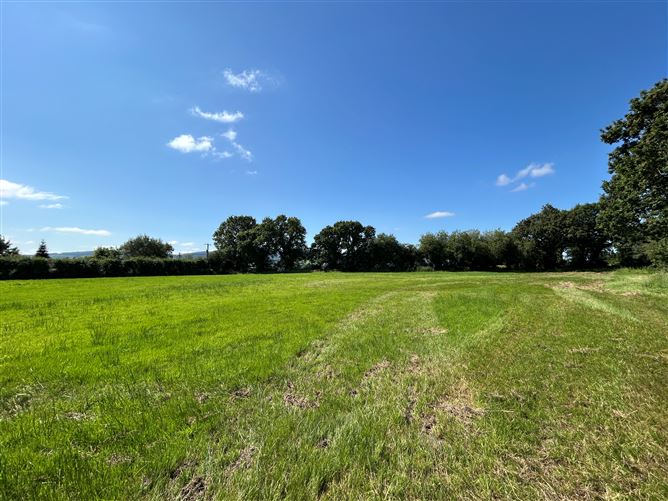 Site at Garrynatineel, Ballina, Tipperary