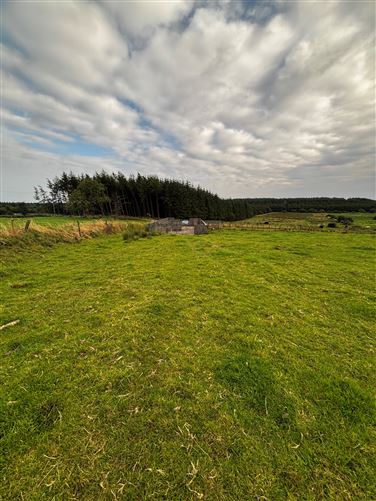 Castleruby,Castleplunket, Tulsk, Roscommon