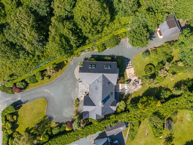 Burrow, Rosslare Strand, Wexford