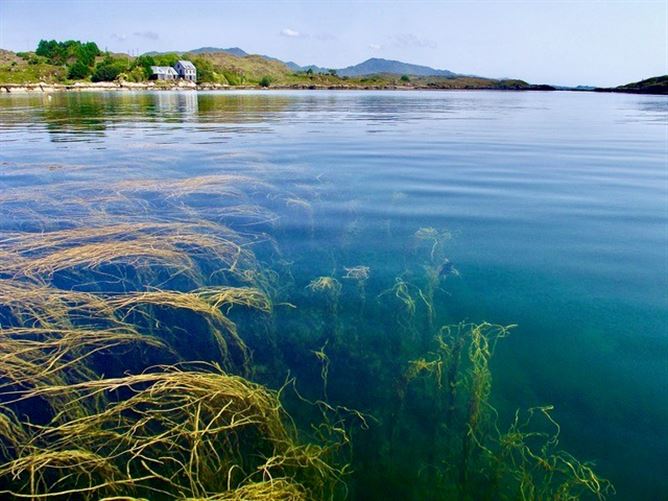 Photo 48 of 57 — Mermaid Isle, Glanlough Lower, Sneem, Kerry