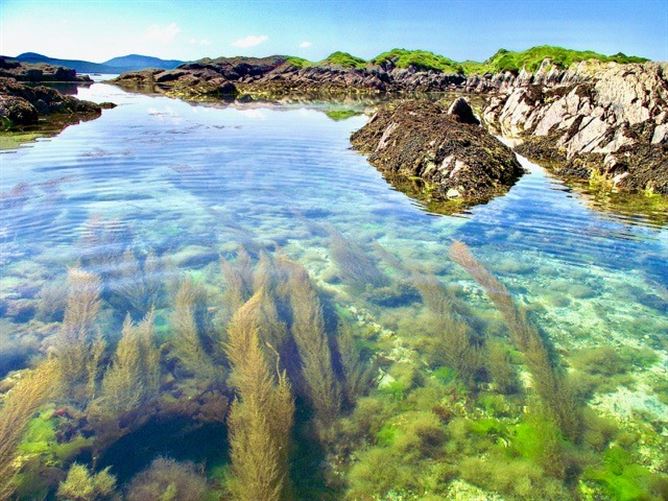 Photo 42 of 57 — Mermaid Isle, Glanlough Lower, Sneem, Kerry