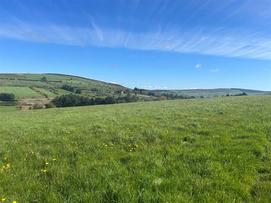 Kilmacrane, Banteer, Co. Cork