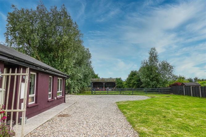 Skenagun, Castledermot, Castledermot, Kildare