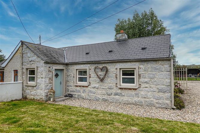 Skenagun, Castledermot, Castledermot, Kildare