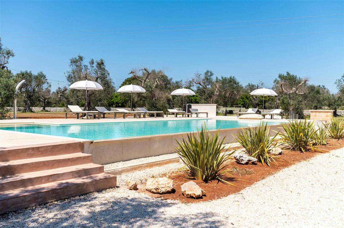 Olive & Red Earth,Marina di Andrano,Apulia,Italy