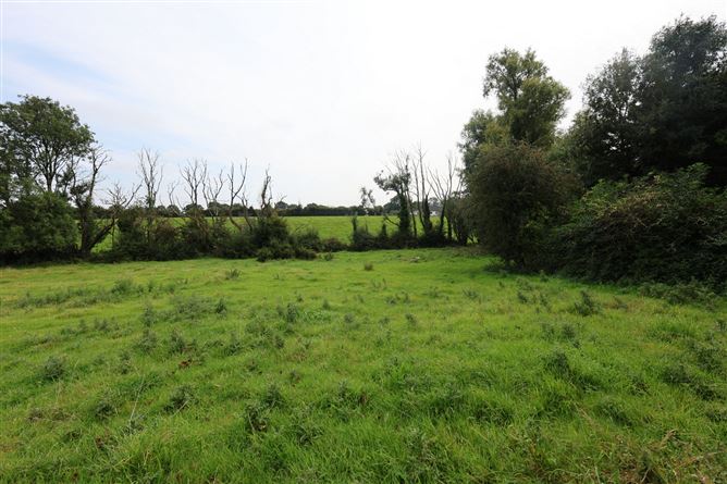 Gainstown, Mullingar, Westmeath