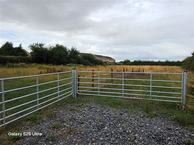 Carlow Road Ballylynan, Ballylynan, Laois