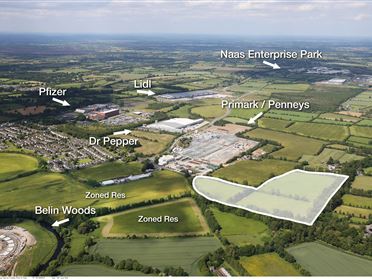 Image for 23.6 Acres at Great Connell, Newbridge, Kildare