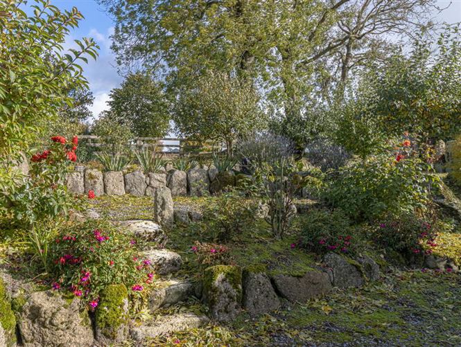Bohermore, Muine Bheag, Bagenalstown, Carlow