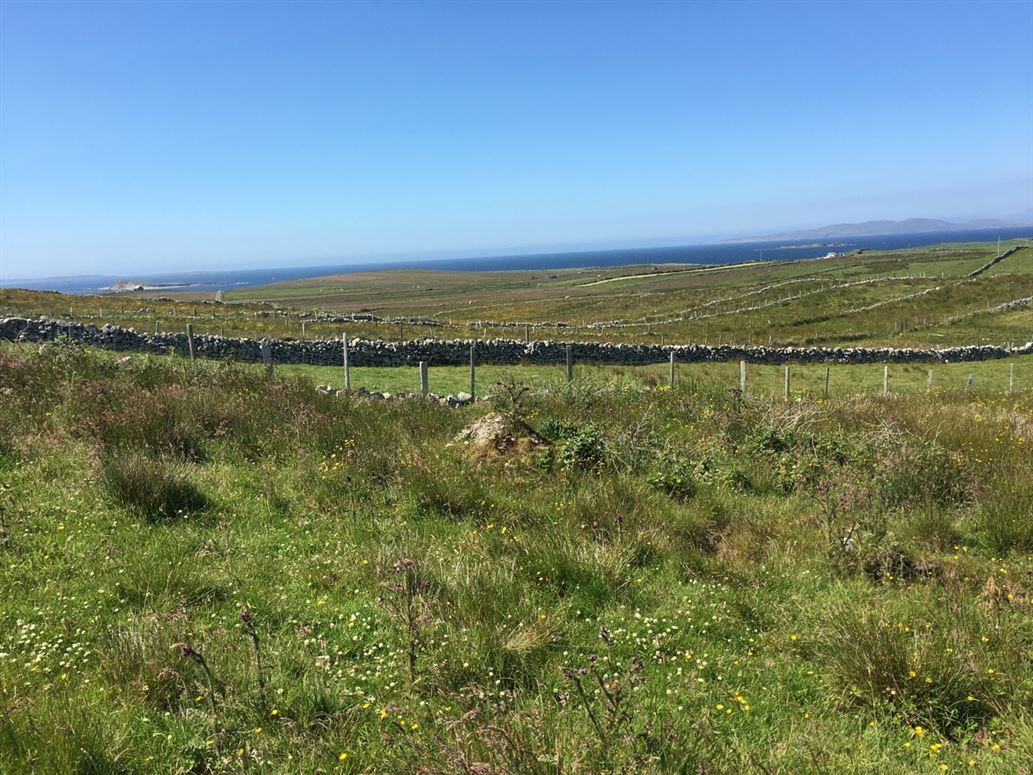 Ground At Cashleen , Renvyle, Galway