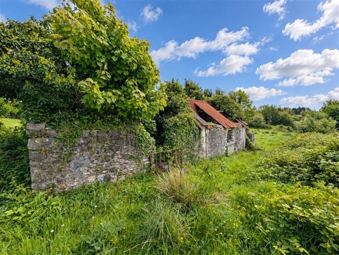 Carrowreagh, Meelick, Swinford, Co. Mayo