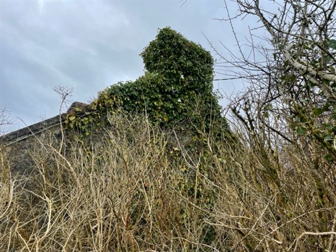 Ballygoonaun , Kilfenora, Clare