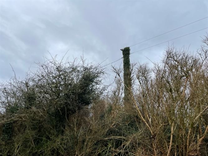 Ballygoonaun , Kilfenora, Clare