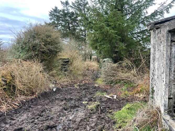 Ballygoonaun , Kilfenora, Clare