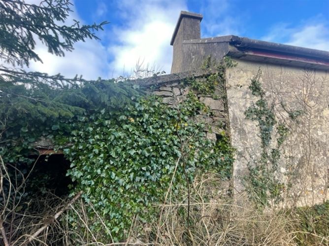 Ballygoonaun , Kilfenora, Clare