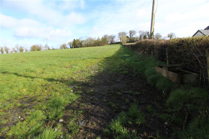Shanmullagh, Braddox, Ballybay, Monaghan