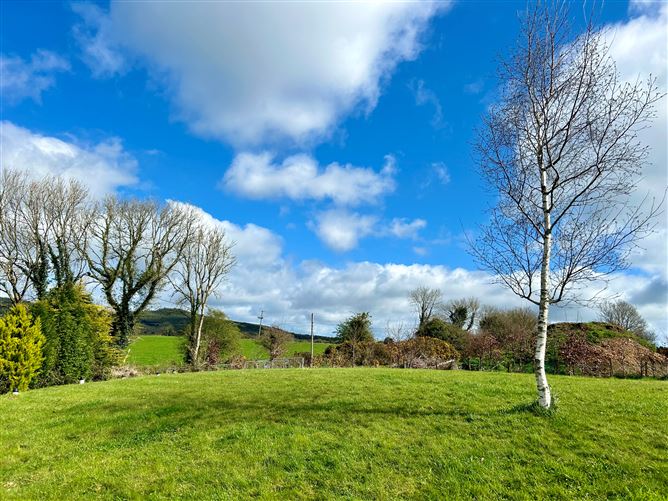 Mullaunreagh, Monamolin, Wexford