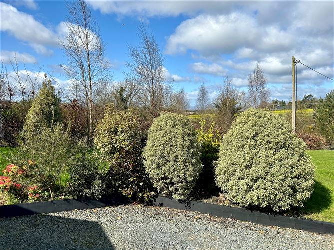 Mullaunreagh, Monamolin, Wexford