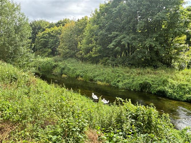 68 Burrin Manor, Tullow Road, Carlow Town, Carlow
