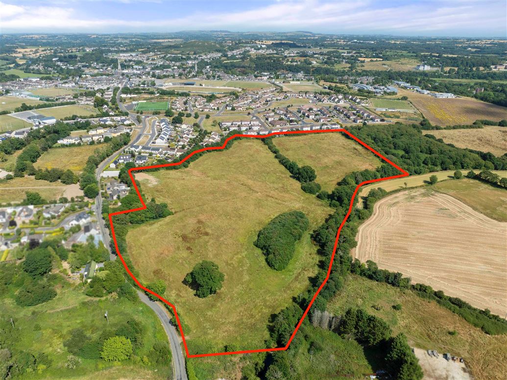  c. 8.7 hectares / 21.9 acres at Carley’s Bridge, Enniscorthy, Wexford