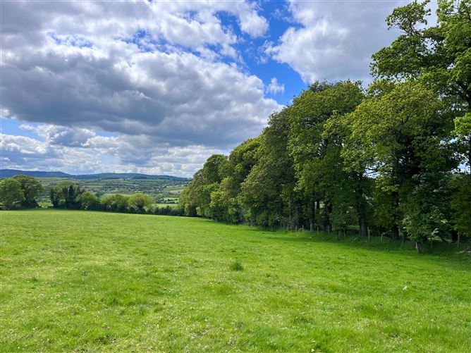 Ballard Farm, Dunganstown West, Kilbride, Wicklow