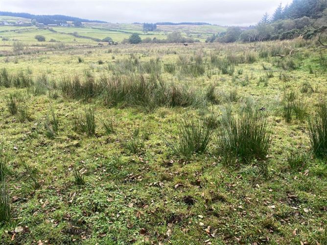 Meenagrauv, Ballybofey, Co. Donegal, DLBOFEY