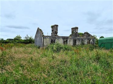 Image for Driney, Loughglynn, Co. Roscommon