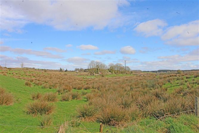 Castlebarnagh, , Swinford, Mayo