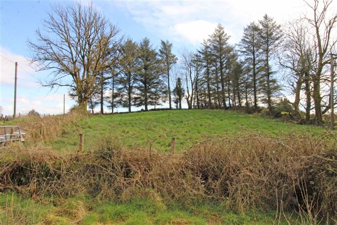 Castlebarnagh, , Swinford, Mayo