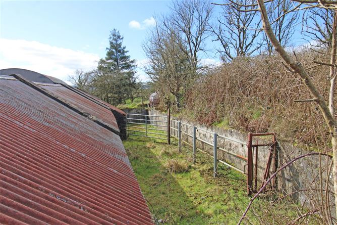 Castlebarnagh, , Swinford, Mayo