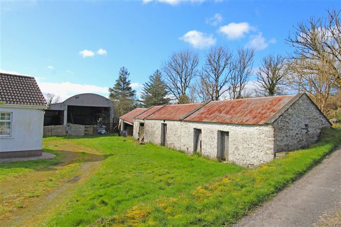 Castlebarnagh, , Swinford, Mayo