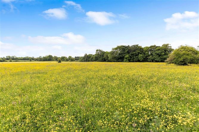 The Glebe, Trim Road, Ballivor, Co. Meath