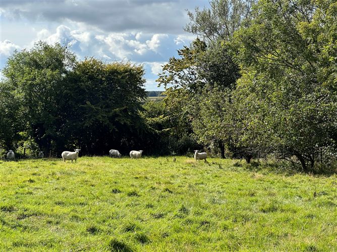 Meadow View, Waddington, Harperstown, Cleariestown, Wexford